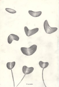 http://art-to-act.org/wp-content/uploads/2017/09/Flowers-Victor-CASANOVA-300x300.jpg