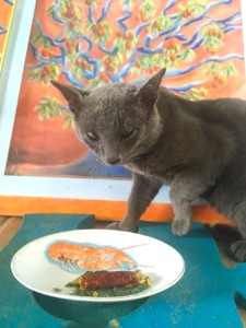 http://art-to-act.org/wp-content/uploads/2019/03/Le-repas-du-Chat-ART-to-ACT-300x300.jpg