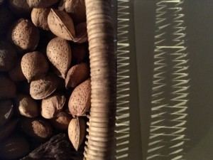 http://art-to-act.org/wp-content/uploads/2019/07/8A05B366-9844-4D06-AD9A-E8D8C0A1F32E-300x300.jpeg