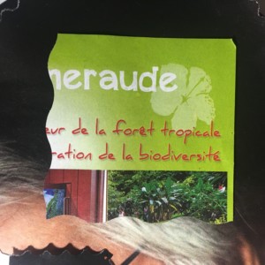 http://art-to-act.org/wp-content/uploads/2019/07/Emefraude-ART-to-ACT-300x300.jpg