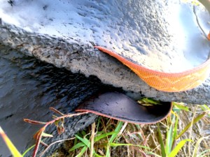 http://art-to-act.org/wp-content/uploads/2019/09/IMG_8620-2-300x300.jpg