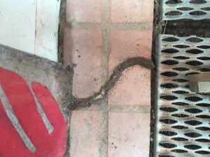http://art-to-act.org/wp-content/uploads/2020/01/DB4137DE-0040-4FC3-A3D9-707D987D191C-300x300.jpeg