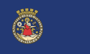 http://art-to-act.org/wp-content/uploads/2020/01/Flag_of_Oslo.svg_-300x300.png