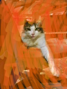 http://art-to-act.org/wp-content/uploads/2020/02/C8E4F332-0B5B-4602-B9DD-11057E586482-300x300.jpeg