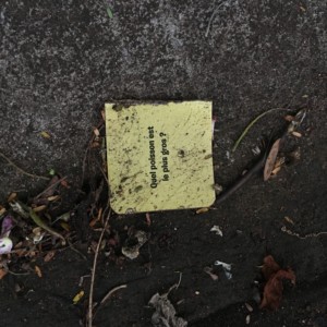 http://art-to-act.org/wp-content/uploads/2020/03/3B44B7AA-7BBA-474D-B84F-30201E9BE6CB-300x300.jpeg