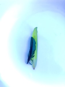 http://art-to-act.org/wp-content/uploads/2020/03/93B4B0B3-376F-4346-890C-308B642002B9-300x300.jpeg