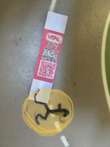 http://art-to-act.org/wp-content/uploads/2020/03/E4E47502-5753-4979-84DF-66AC0A00379D-300x300.jpeg