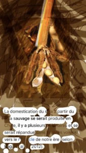 http://art-to-act.org/wp-content/uploads/2020/06/7BD4B7F7-807C-40BE-9A09-EB3717D795E6-300x300.jpeg