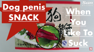 http://art-to-act.org/wp-content/uploads/2020/08/Dog-penis-snack-300x300.png