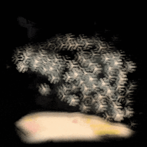 http://art-to-act.org/wp-content/uploads/2020/11/2AC8844D-1785-4D78-BF54-95AA09D0E1F6-300x300.gif