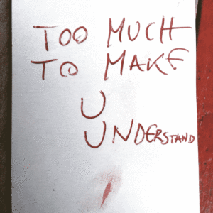 http://art-to-act.org/wp-content/uploads/2020/11/33AF2A40-7637-4C70-88D0-F97E22B6CC0F-300x300.gif