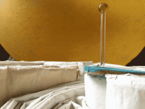 http://art-to-act.org/wp-content/uploads/2020/11/AEFF2A0F-5D32-41BE-9DF5-7ADE3AD61608-300x300.gif