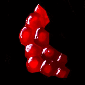 http://art-to-act.org/wp-content/uploads/2020/11/D3786921-0D6F-4B7B-AE72-4EB25FECD683-300x300.gif