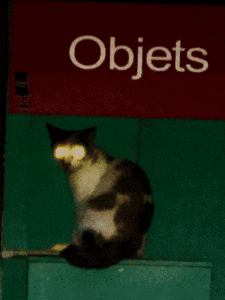 http://art-to-act.org/wp-content/uploads/2020/12/4815F48F-FE4C-4FD1-9457-474B4FF40CFA-300x300.gif