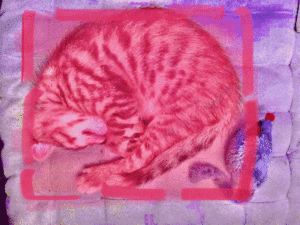 http://art-to-act.org/wp-content/uploads/2020/12/7D19DC69-6366-439A-8A74-9F960723FC74-300x300.gif
