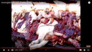 http://art-to-act.org/wp-content/uploads/2020/12/C7E30F03-967C-4515-A0FD-B7B0C46A103D-300x300.gif