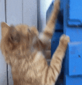 http://art-to-act.org/wp-content/uploads/2020/12/EED72762-22BD-40A3-A774-8AD5CE4C2B60-288x300.gif