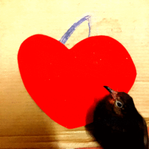 http://art-to-act.org/wp-content/uploads/2021/04/D3C2F986-AE4E-473A-AC93-D647F3E32CBC-300x300.gif