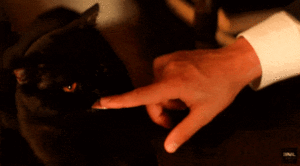 http://art-to-act.org/wp-content/uploads/2021/04/ezgif.com-gif-maker-96-1-300x300.gif