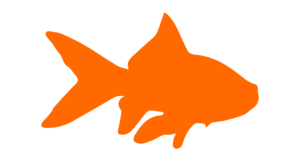 http://art-to-act.org/wp-content/uploads/2021/07/Animaux-Marins-6-300x300.png