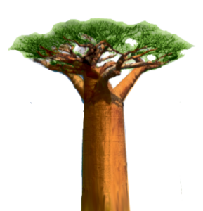 http://art-to-act.org/wp-content/uploads/2021/07/Baobab2-300x300.png