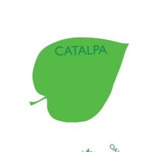 http://art-to-act.org/wp-content/uploads/2021/07/Catalpa-300x300.png