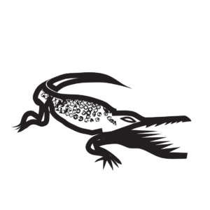 http://art-to-act.org/wp-content/uploads/2021/07/Crocodile-300x300.png
