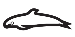 http://art-to-act.org/wp-content/uploads/2021/07/False-killer-whale-300x300.png