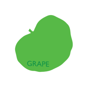 http://art-to-act.org/wp-content/uploads/2021/07/Grape-300x300.png