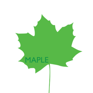 http://art-to-act.org/wp-content/uploads/2021/07/Maple1-300x300.png