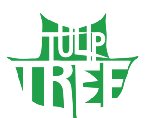 http://art-to-act.org/wp-content/uploads/2021/07/Tulip-Tree-1-300x300.png