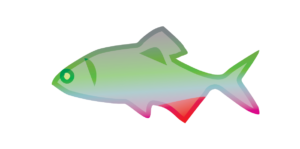 http://art-to-act.org/wp-content/uploads/2021/08/Amur-bitterling-300x300.png