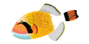 http://art-to-act.org/wp-content/uploads/2021/08/BALISTE-TITAN-300x300.png