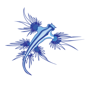 http://art-to-act.org/wp-content/uploads/2021/08/Blue-Glaucus-300x300.png