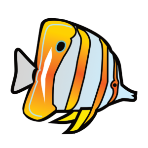 http://art-to-act.org/wp-content/uploads/2021/08/Butterflyfish-300x300.png