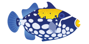 http://art-to-act.org/wp-content/uploads/2021/08/Clown-Triggerfish-1-300x300.png