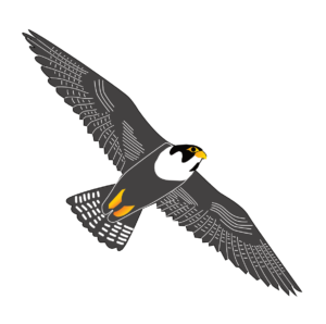 http://art-to-act.org/wp-content/uploads/2021/08/Falcon-300x300.png