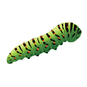 http://art-to-act.org/wp-content/uploads/2021/08/Machaon-chenille-300x300.png