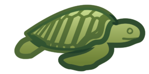 http://art-to-act.org/wp-content/uploads/2021/08/Olive-ridley-sea-turtle-300x300.png