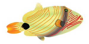 http://art-to-act.org/wp-content/uploads/2021/08/Orange-lined-triggerfish-300x300.png