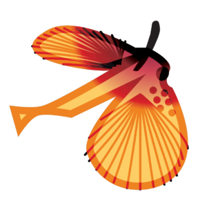 http://art-to-act.org/wp-content/uploads/2021/08/Oriental-flying-gurnard-300x300.png