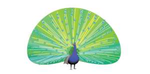 http://art-to-act.org/wp-content/uploads/2021/08/Peacock-300x300.png