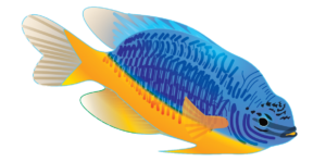 http://art-to-act.org/wp-content/uploads/2021/08/Yellow-Bellied-Damsel--300x300.png