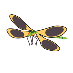 http://art-to-act.org/wp-content/uploads/2021/08/agrion-300x300.png