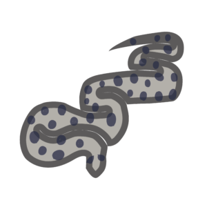 http://art-to-act.org/wp-content/uploads/2021/08/anaconda-300x300.png