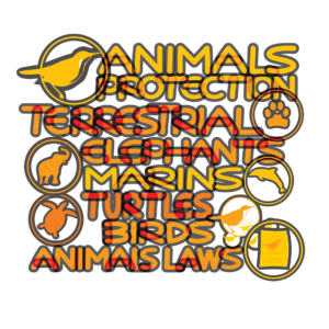 http://art-to-act.org/wp-content/uploads/2021/08/arttoact-Animals-protections-5-1-300x300.png