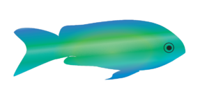 http://art-to-act.org/wp-content/uploads/2021/08/blue-green-damselfish-300x300.png
