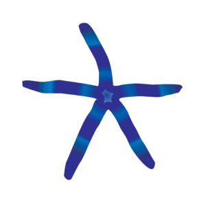 http://art-to-act.org/wp-content/uploads/2021/08/blue-star-linckia-laevigata-300x300.png