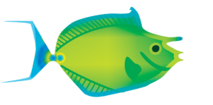 http://art-to-act.org/wp-content/uploads/2021/08/bluespine-unicornfish-1-300x300.png