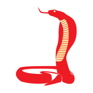 http://art-to-act.org/wp-content/uploads/2021/08/cobra-300x300.png